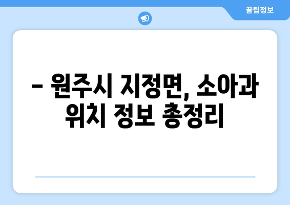 강원도 원주시 지정면 소아과 위치 정보