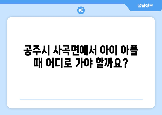 충청남도 공주시 사곡면 소아과 위치 정보