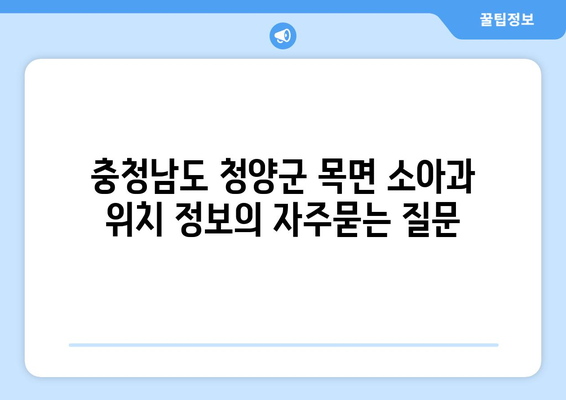 충청남도 청양군 목면 소아과 위치 정보