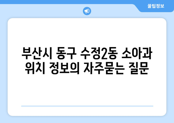 부산시 동구 수정2동 소아과 위치 정보