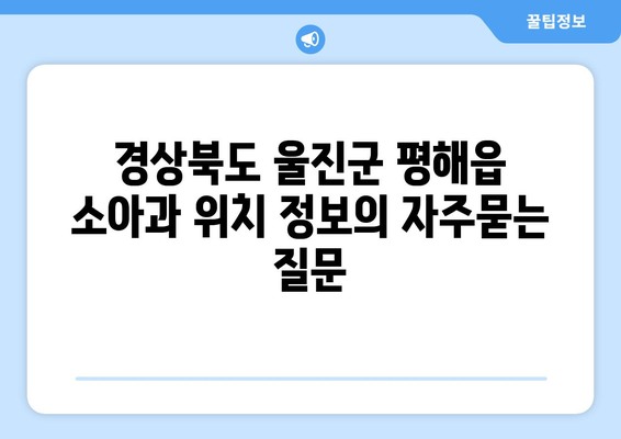 경상북도 울진군 평해읍 소아과 위치 정보