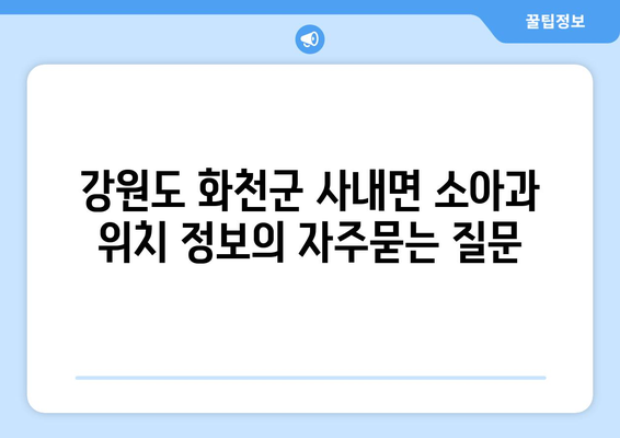 강원도 화천군 사내면 소아과 위치 정보