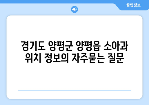 경기도 양평군 양평읍 소아과 위치 정보