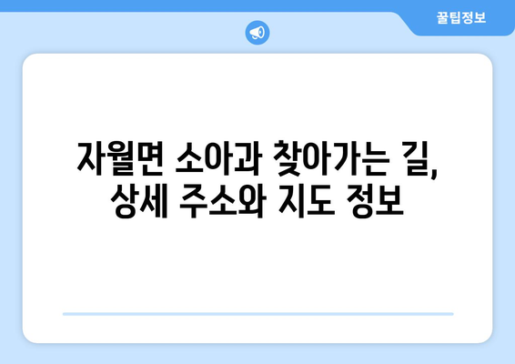 인천시 옹진군 자월면 소아과 위치 정보