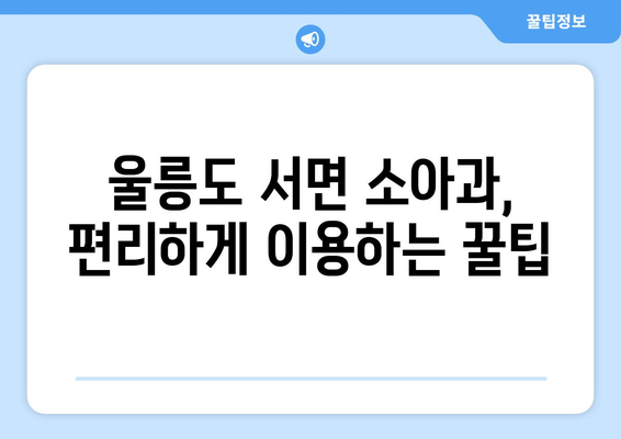 경상북도 울릉군 서면 소아과 위치 정보