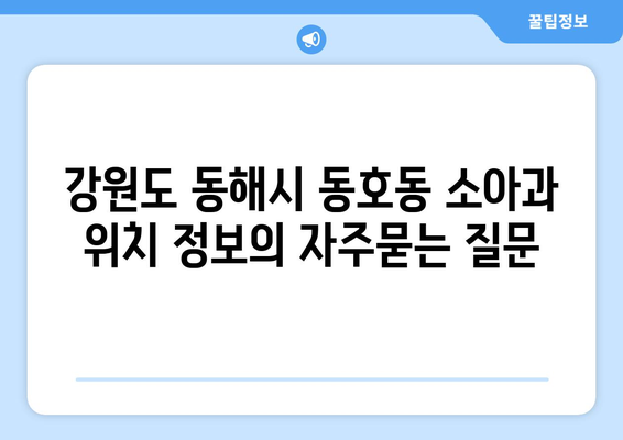 강원도 동해시 동호동 소아과 위치 정보