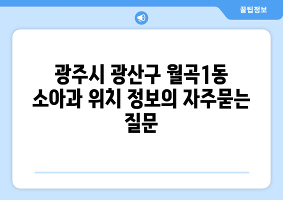 광주시 광산구 월곡1동 소아과 위치 정보