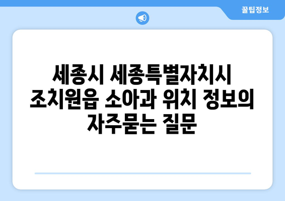 세종시 세종특별자치시 조치원읍 소아과 위치 정보