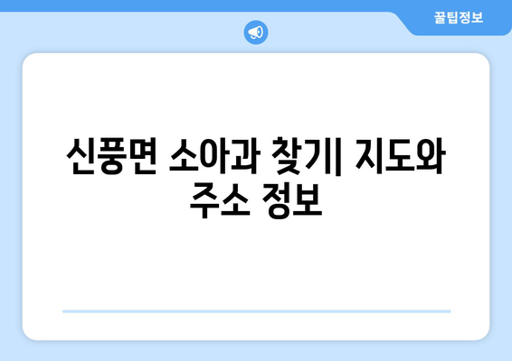 충청남도 공주시 신풍면 소아과 위치 정보