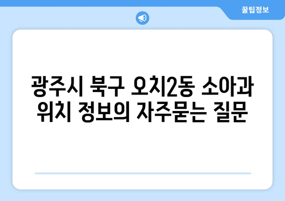 광주시 북구 오치2동 소아과 위치 정보