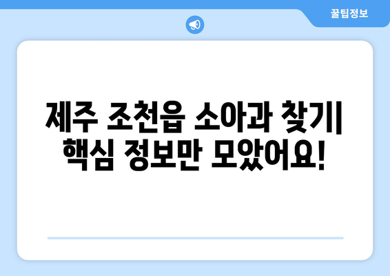 제주도 제주시 조천읍 소아과 위치 정보