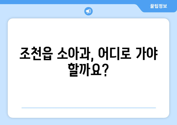 제주도 제주시 조천읍 소아과 위치 정보