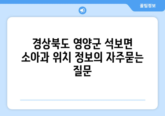 경상북도 영양군 석보면 소아과 위치 정보