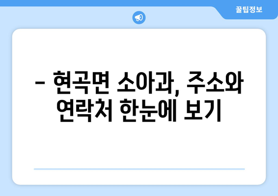 경상북도 경주시 현곡면 소아과 위치 정보