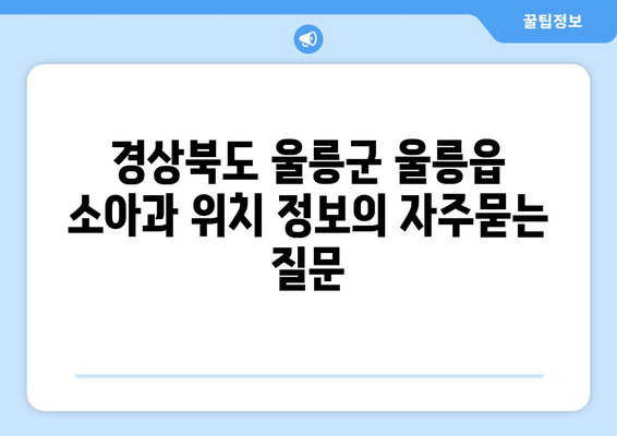 경상북도 울릉군 울릉읍 소아과 위치 정보