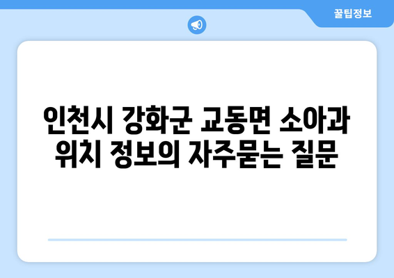 인천시 강화군 교동면 소아과 위치 정보