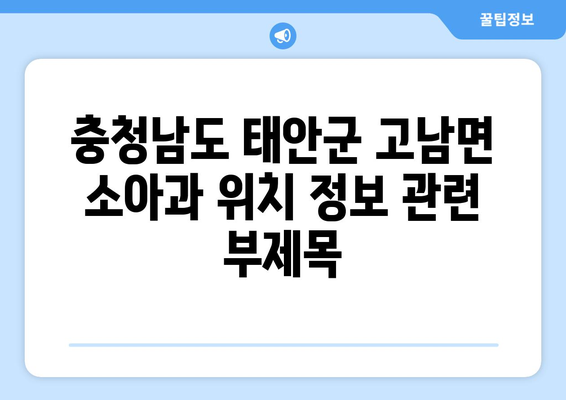 충청남도 태안군 고남면 소아과 위치 정보