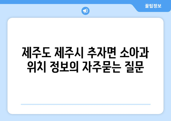 제주도 제주시 추자면 소아과 위치 정보