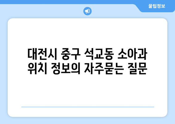 대전시 중구 석교동 소아과 위치 정보