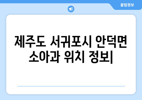 제주도 서귀포시 안덕면 소아과 위치 정보