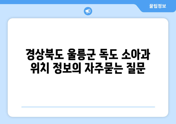 경상북도 울릉군 독도 소아과 위치 정보