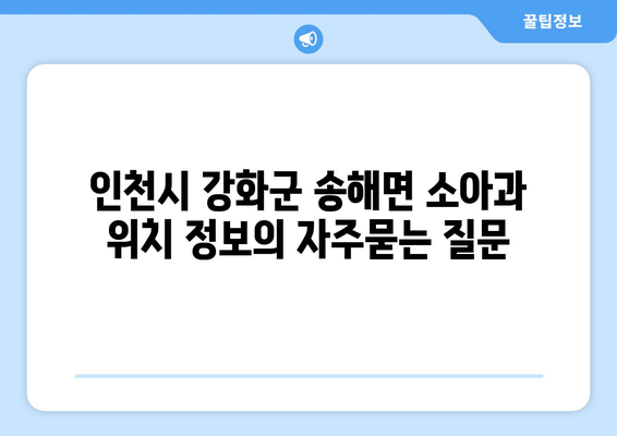 인천시 강화군 송해면 소아과 위치 정보