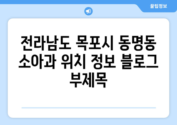 전라남도 목포시 동명동 소아과 위치 정보