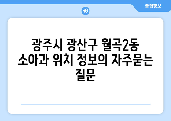 광주시 광산구 월곡2동 소아과 위치 정보