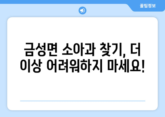 충청북도 제천시 금성면 소아과 위치 정보