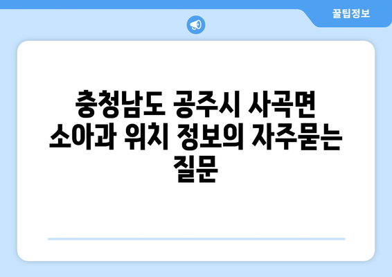 충청남도 공주시 사곡면 소아과 위치 정보