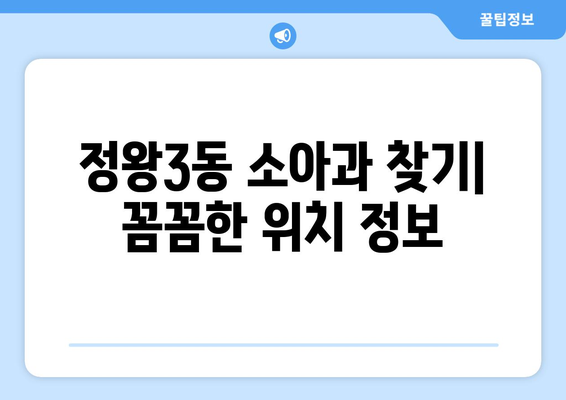 경기도 시흥시 정왕3동 소아과 위치 정보