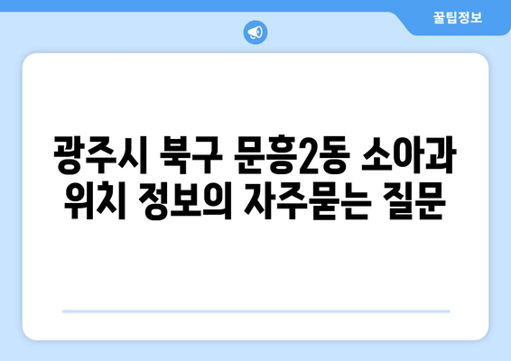 광주시 북구 문흥2동 소아과 위치 정보