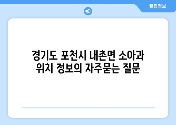 경기도 포천시 내촌면 소아과 위치 정보