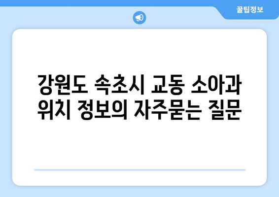 강원도 속초시 교동 소아과 위치 정보