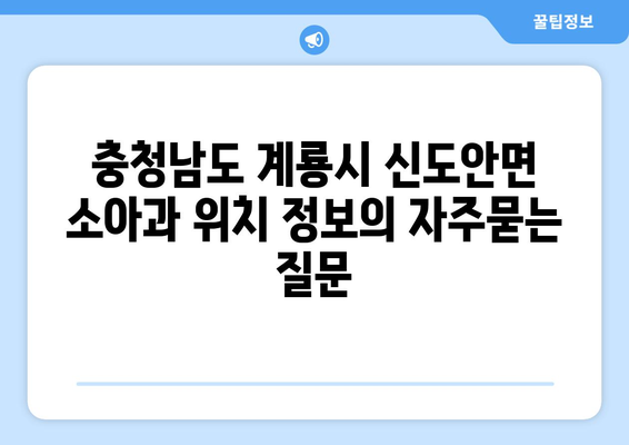 충청남도 계룡시 신도안면 소아과 위치 정보