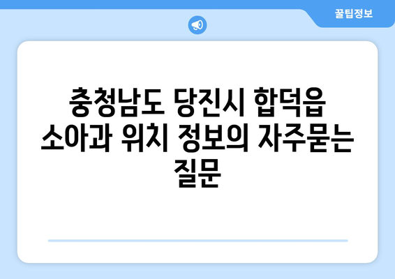 충청남도 당진시 합덕읍 소아과 위치 정보