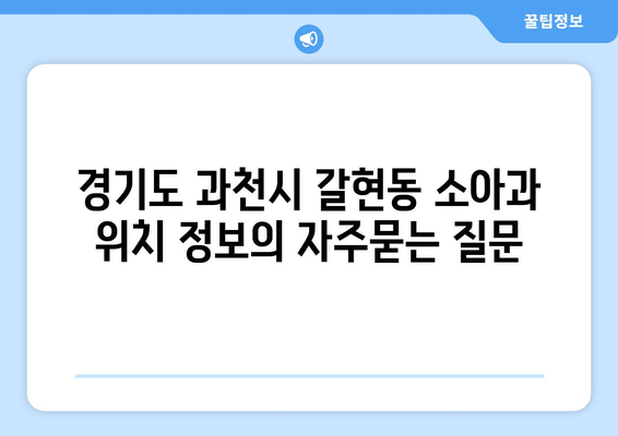 경기도 과천시 갈현동 소아과 위치 정보