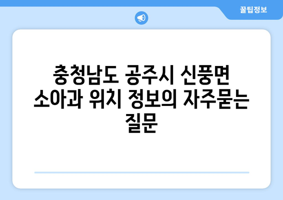 충청남도 공주시 신풍면 소아과 위치 정보