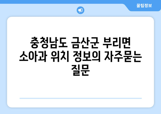 충청남도 금산군 부리면 소아과 위치 정보