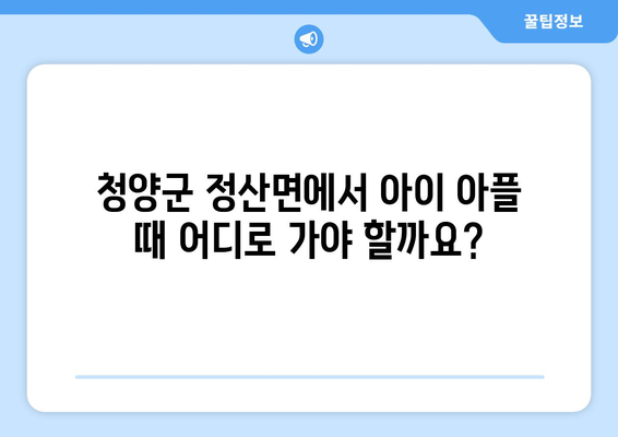 충청남도 청양군 정산면 소아과 위치 정보