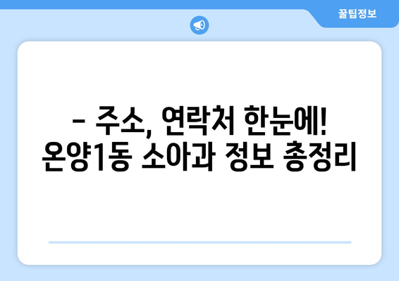 충청남도 아산시 온양1동 소아과 위치 정보