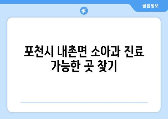 경기도 포천시 내촌면 소아과 위치 정보