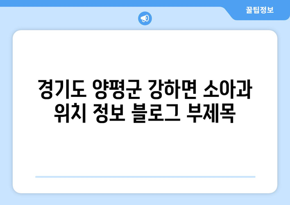 경기도 양평군 강하면 소아과 위치 정보