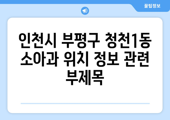 인천시 부평구 청천1동 소아과 위치 정보