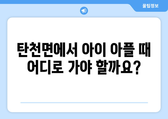 충청남도 공주시 탄천면 소아과 위치 정보