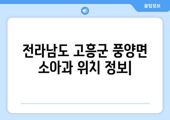 전라남도 고흥군 풍양면 소아과 위치 정보