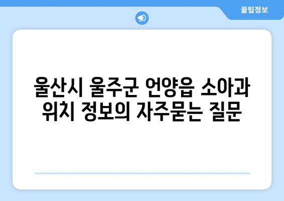 울산시 울주군 언양읍 소아과 위치 정보