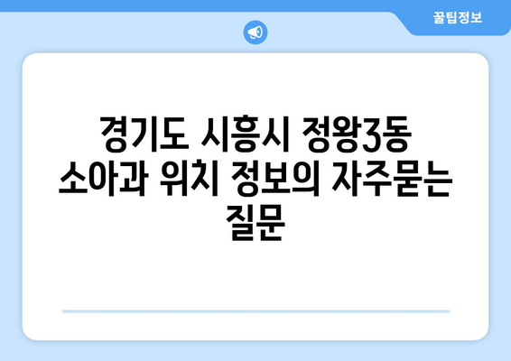 경기도 시흥시 정왕3동 소아과 위치 정보