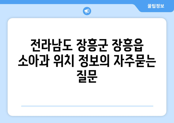 전라남도 장흥군 장흥읍 소아과 위치 정보