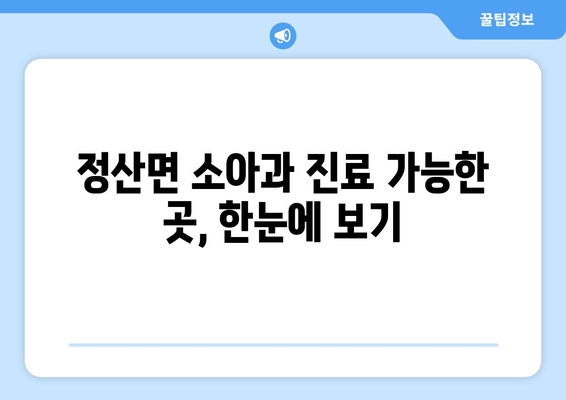 충청남도 청양군 정산면 소아과 위치 정보